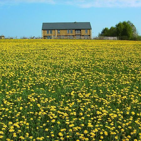 Chambres D'Hotes Les Trappeurs Silence & Nature Tenneville Exterior foto