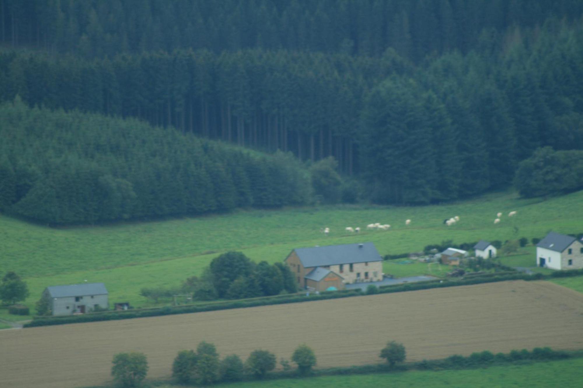 Chambres D'Hotes Les Trappeurs Silence & Nature Tenneville Exterior foto